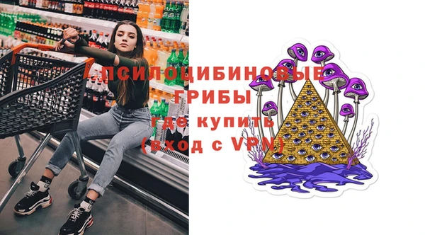 амф Абаза