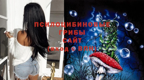 шишки Алексин
