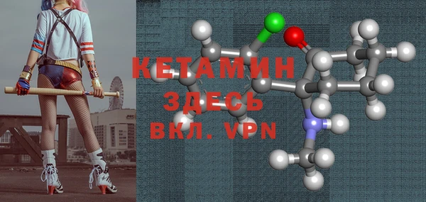 прущие грибы Рославль