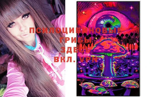 амф Абаза