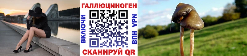 Псилоцибиновые грибы Cubensis МЕГА ССЫЛКА Кинешма